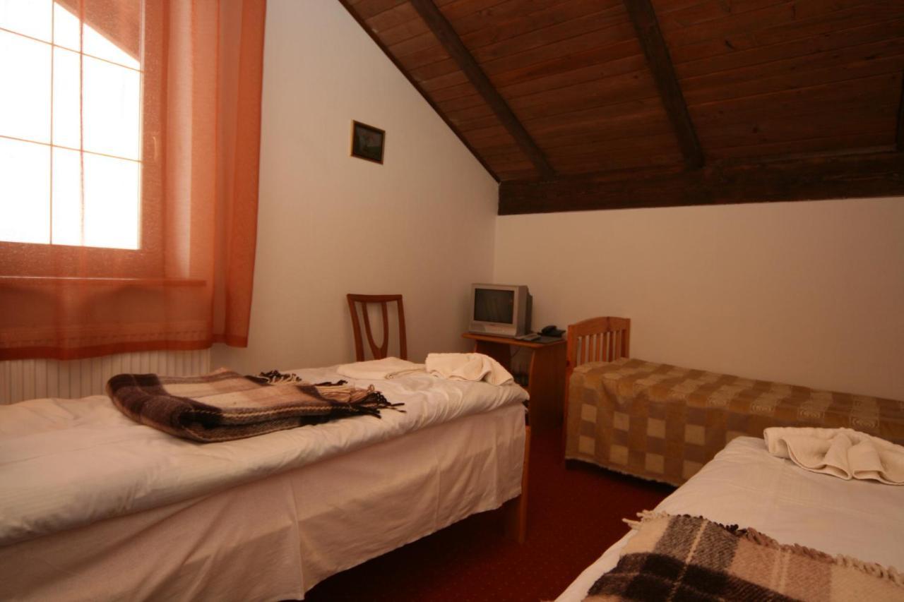 Hotel Alpenhof Pansion à Slavsko Extérieur photo