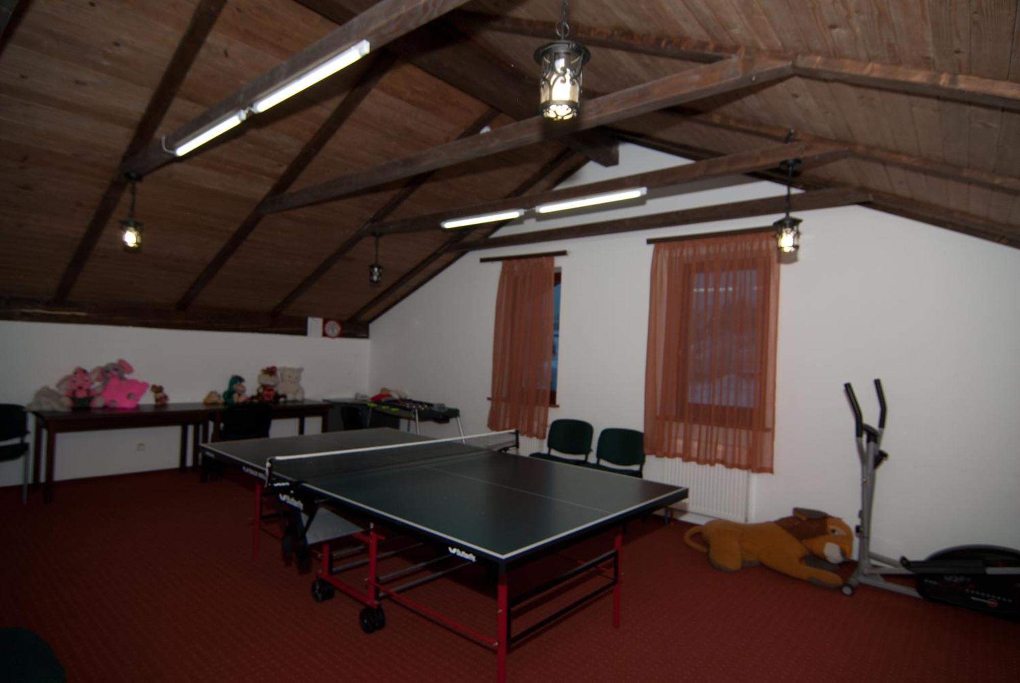 Hotel Alpenhof Pansion à Slavsko Extérieur photo